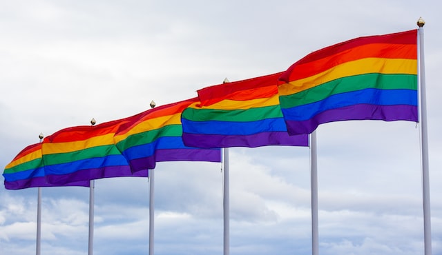 lgbt flag