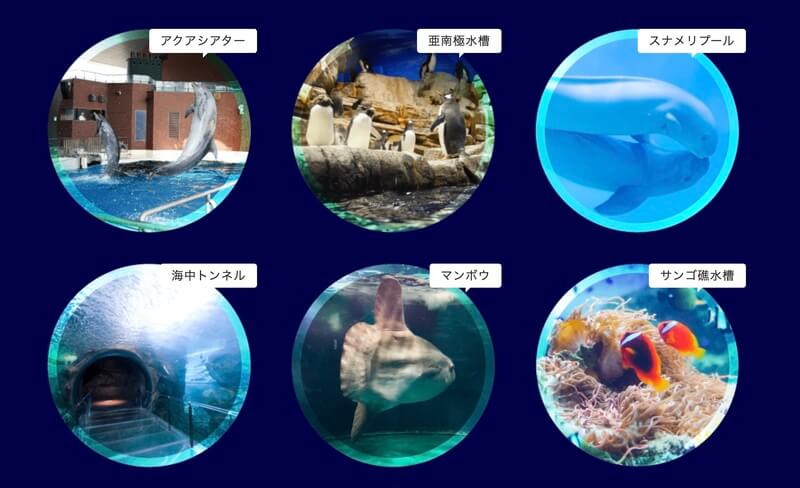 下関市立しものせき水族館・海響館