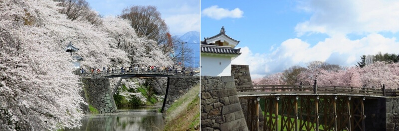 霞城公園